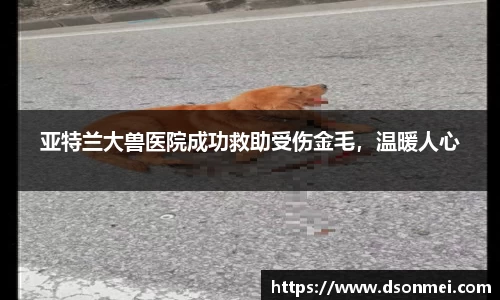 竞技宝官网